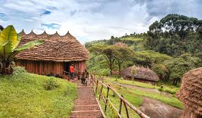 Accommodation in Sipi Falls