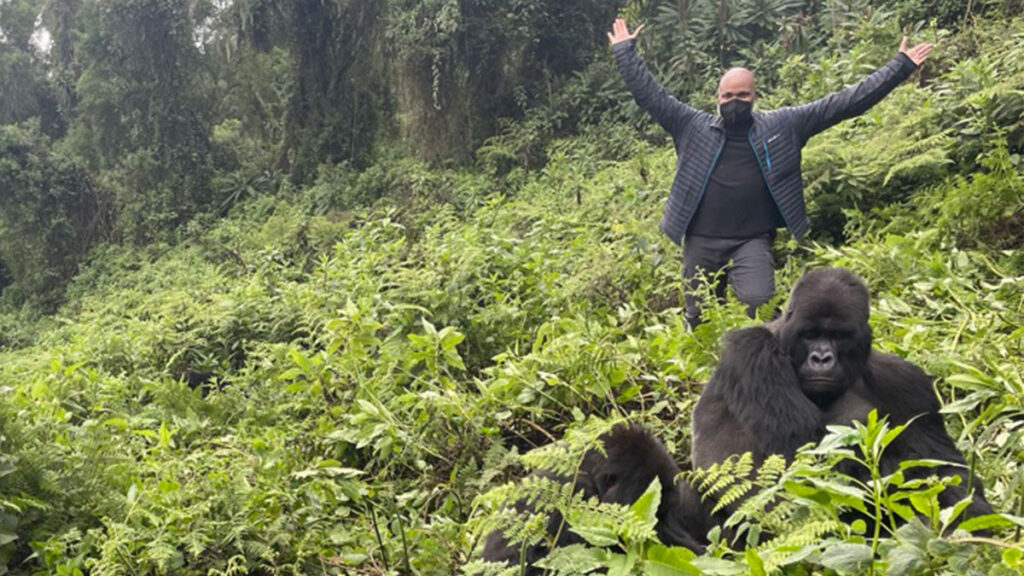 Rwanda Gorilla Safaris