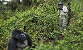 5 Days Rwanda gorillas and wildlife safari