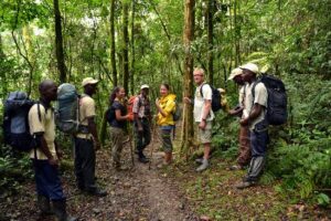 Gorilla trekking permits