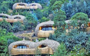 Luxury Gorilla lodges