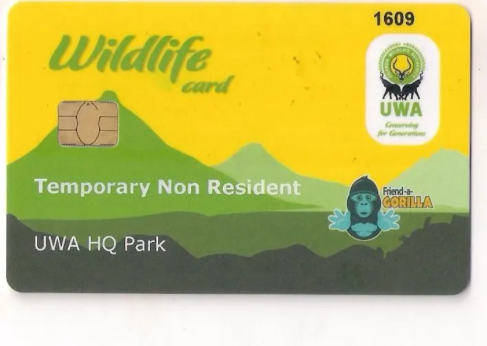 Gorilla Trekking Permits in Uganda & Rwanda