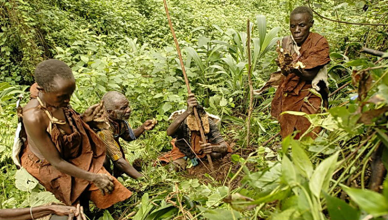 Virunga Conservation Area