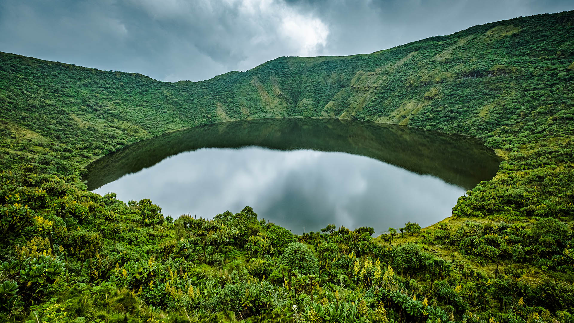 Virunga Conservation Area/Massif