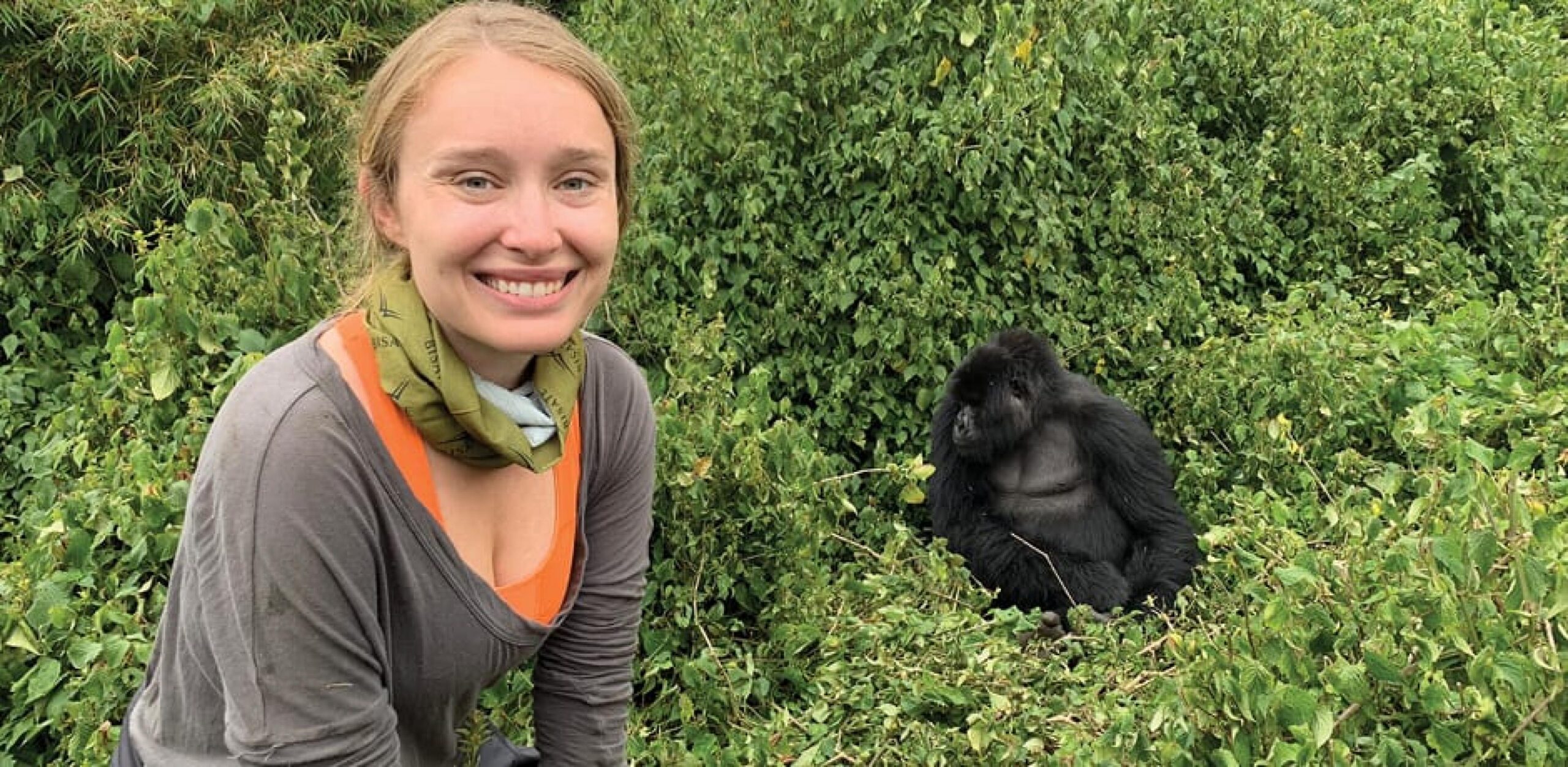 Budget Uganda Gorilla Safaris