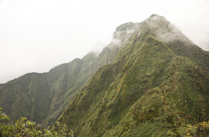 Virunga Volcanoes