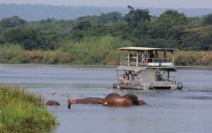 Best Places for game safaris in Uganda