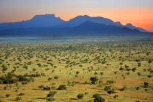 Best places for game safaris in Uganda