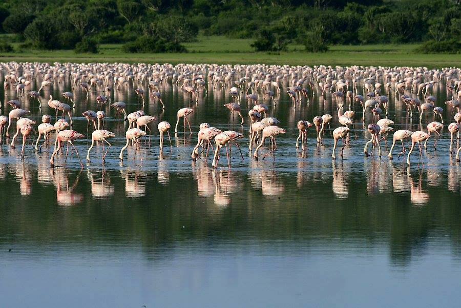 Crater Lakes in Queen Elizabeth National Park