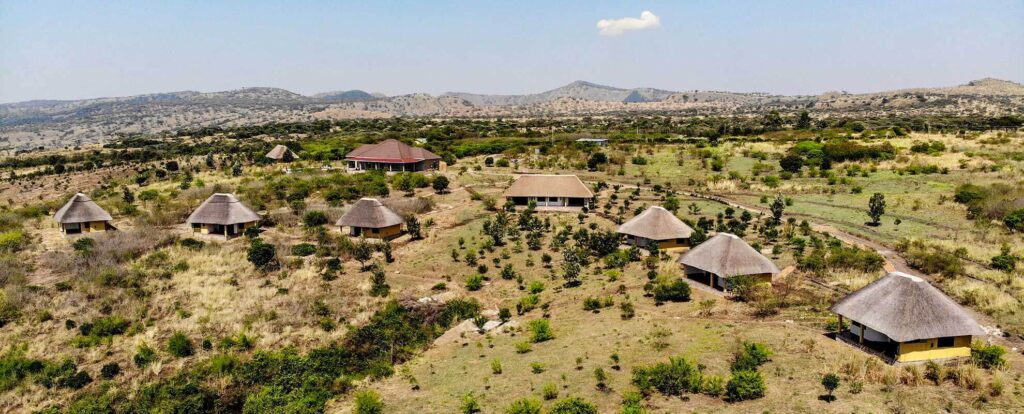 Luxury Lodges in Queen Elizabeth National park