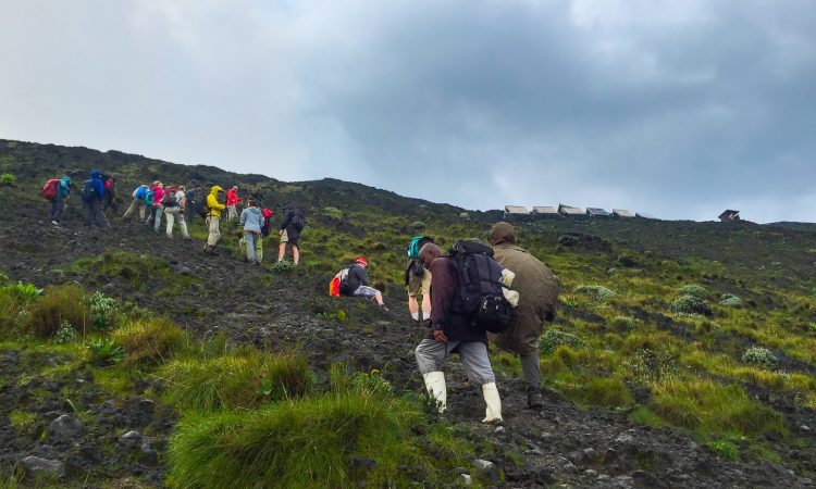 4 Days Congo Gorillas & Nyiragongo hiking